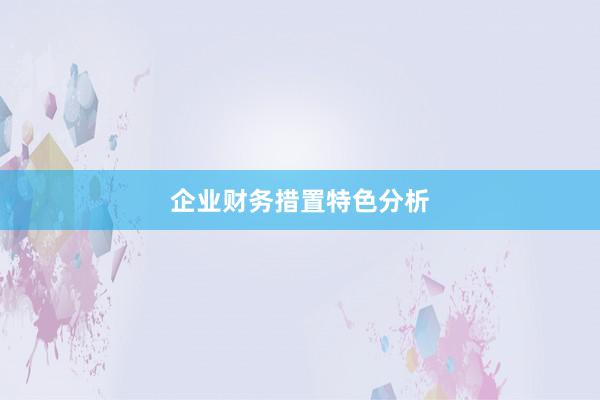 企业财务措置特色分析