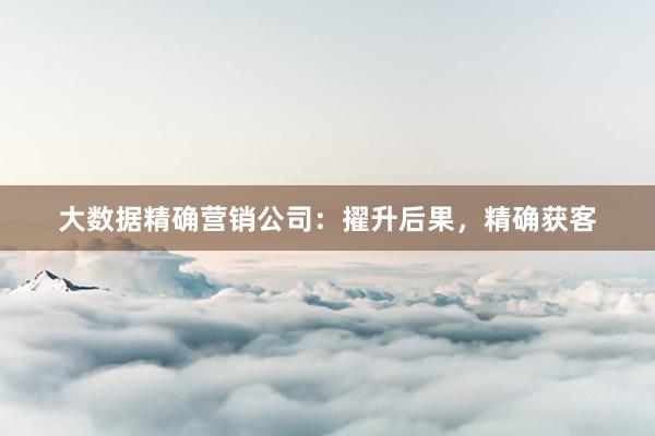 大数据精确营销公司：擢升后果，精确获客